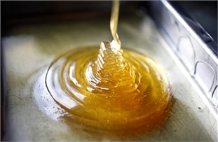 Должен ли засахариваться мед
